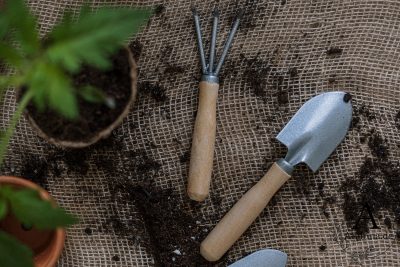 Essig im Garten: 6 geniale Anwendungen
